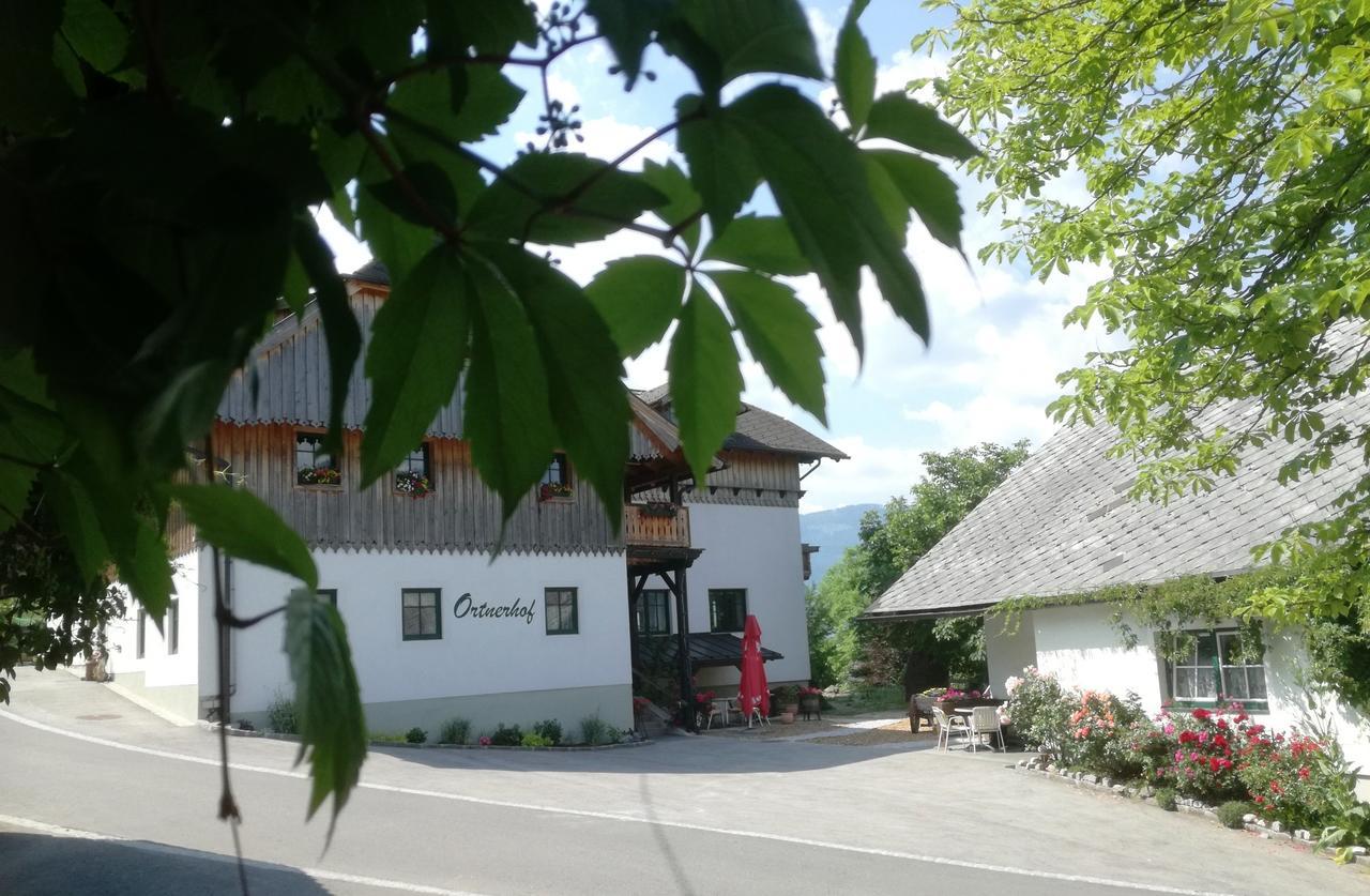 Ortnerhof Ennstal Bed & Breakfast Aigen im Ennstal Exterior photo